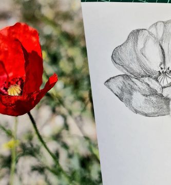 dibujar flores
