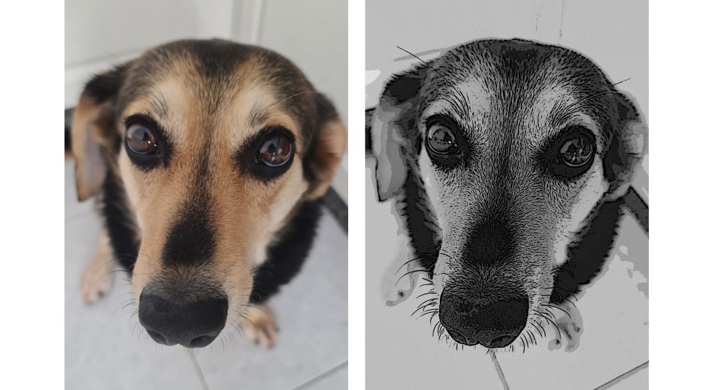 dibujo-animal-realista