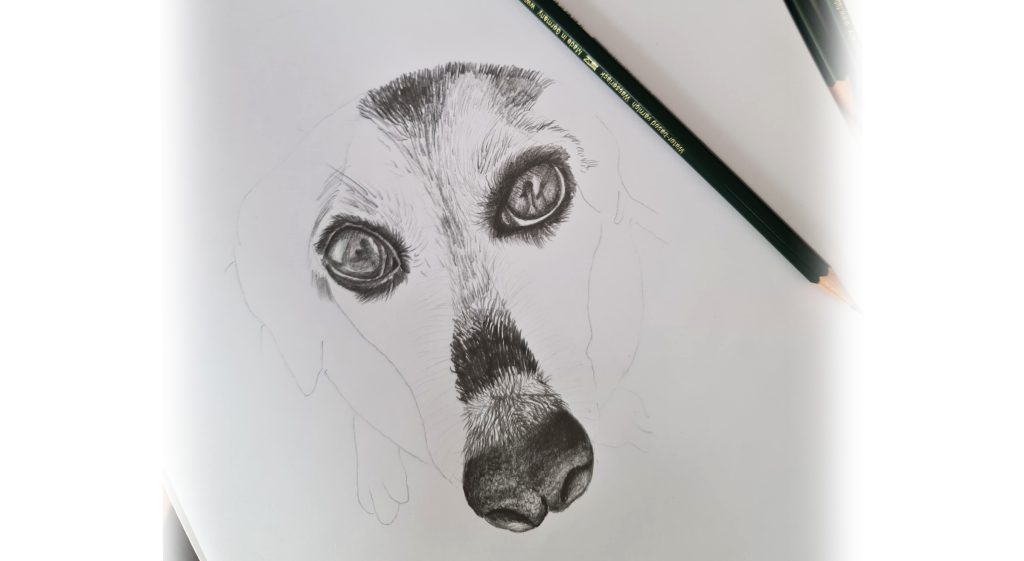 dibujo-animal-realista