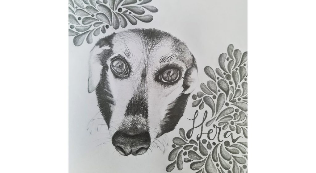 dibujar animales realistas