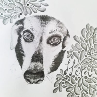 dibujar animales realistas